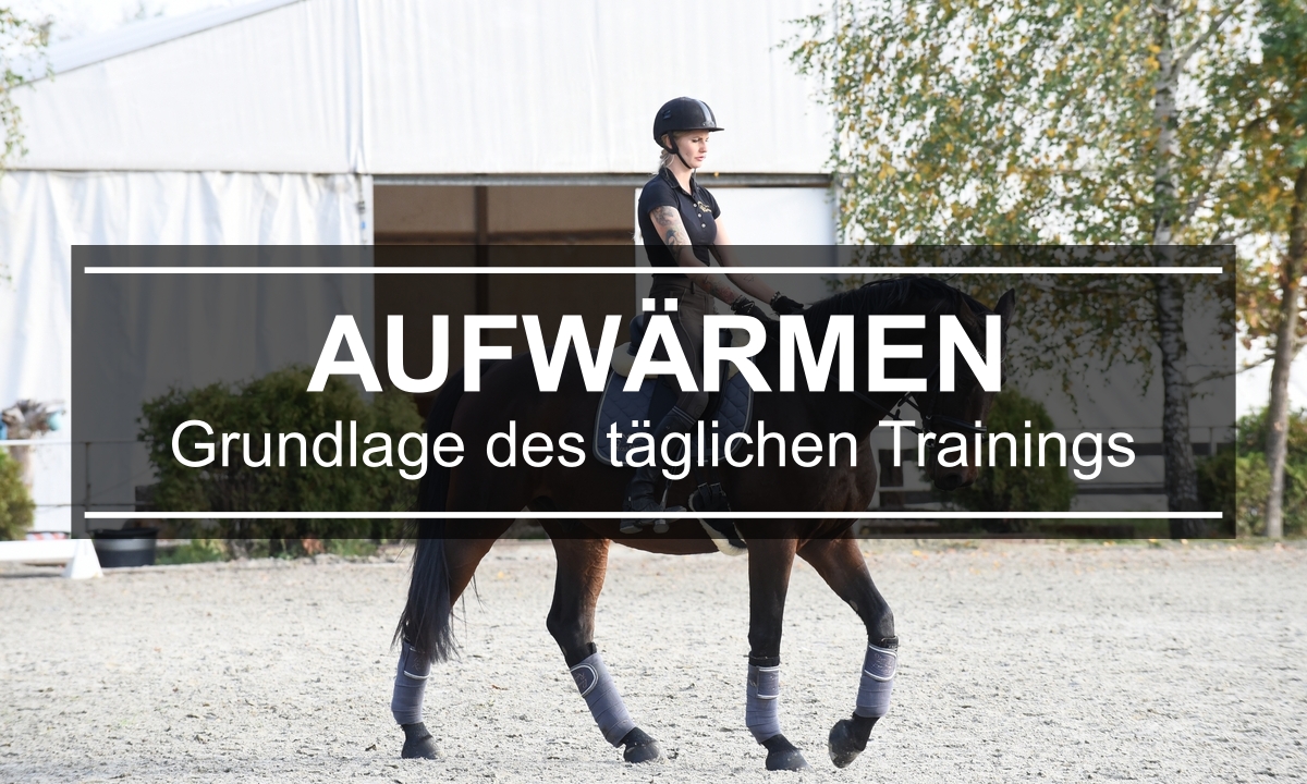 Aufwärmen – Grundlage des täglichen Trainings